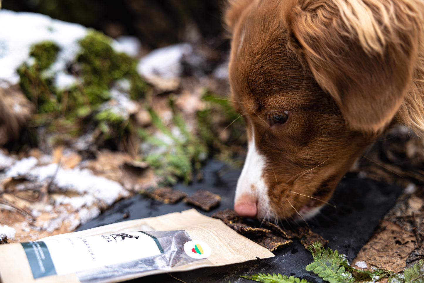 Beef treats with carrots