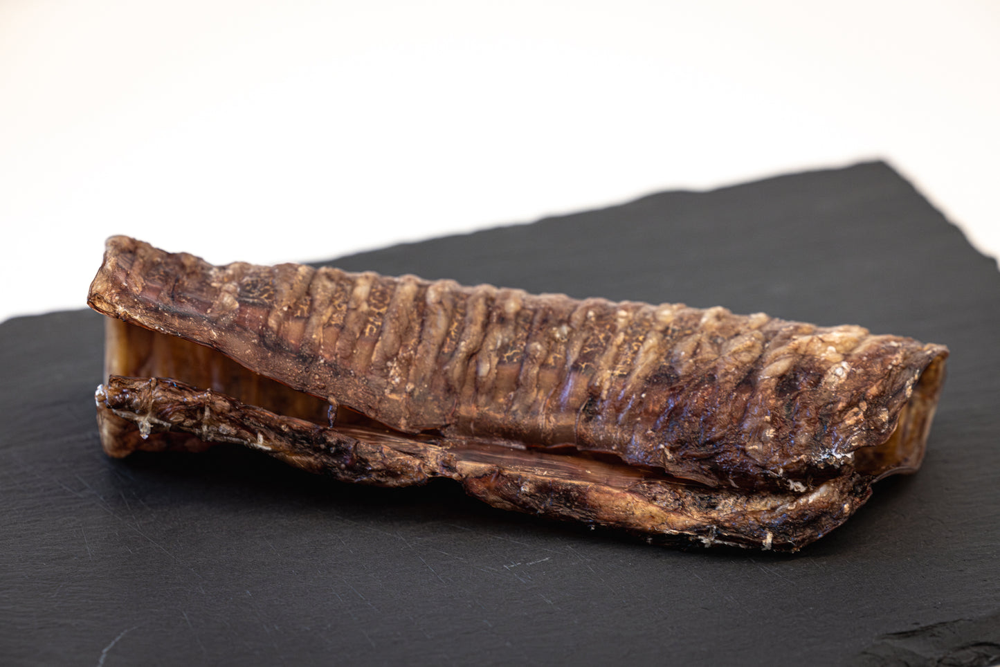 Ox trachea