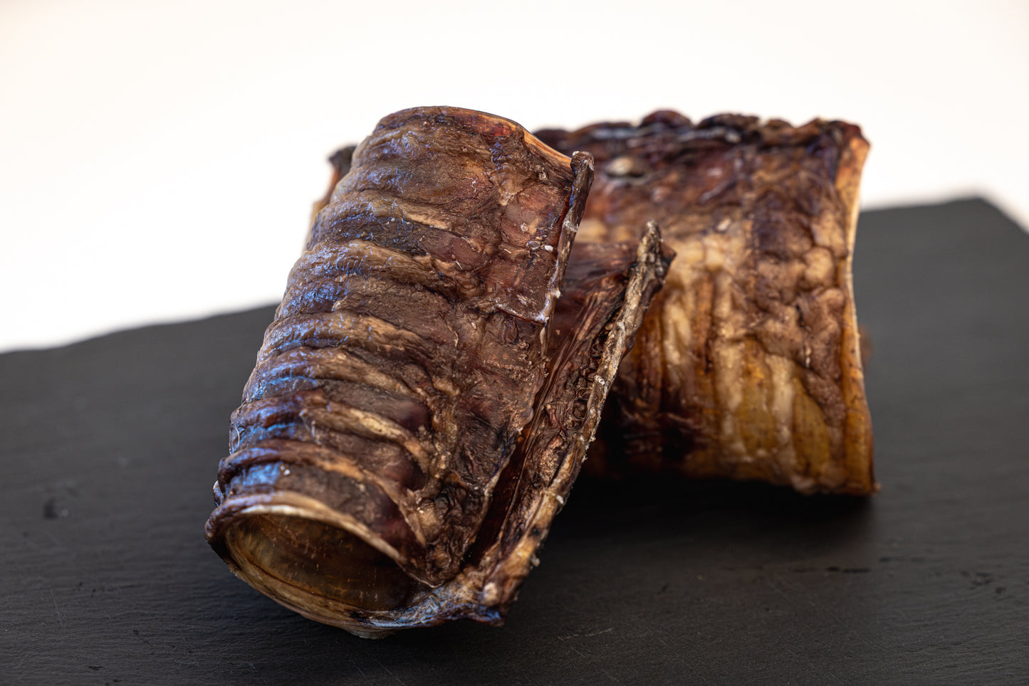 Ox trachea